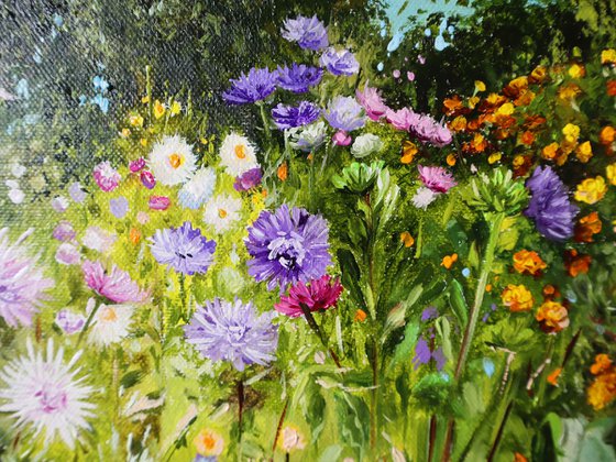 Vibrant Summer Garden