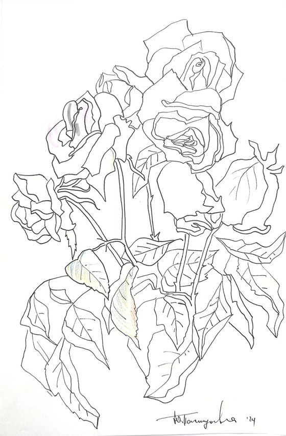 roses sketch flowers