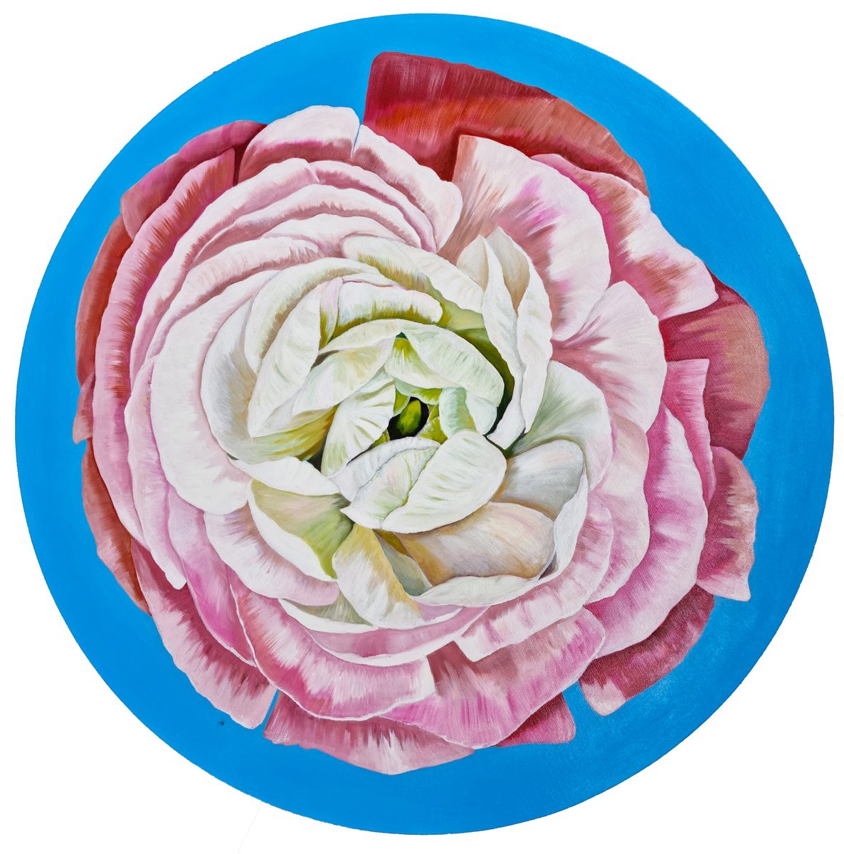 Photorealistic Botanical Oil Painting By Zulfiya Mukhamadeyeva, 24 X 24", Ranunculus, Original Artwork