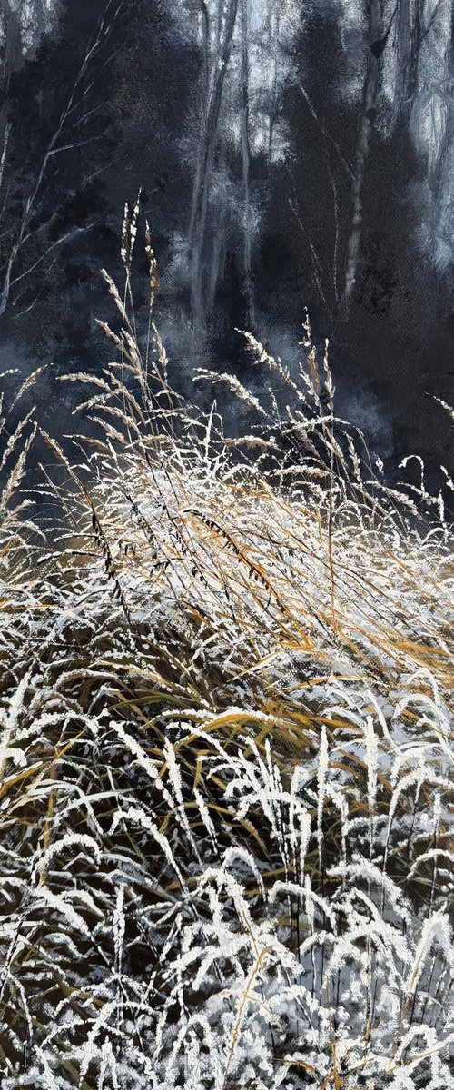 first snow by Igor Dubovoy