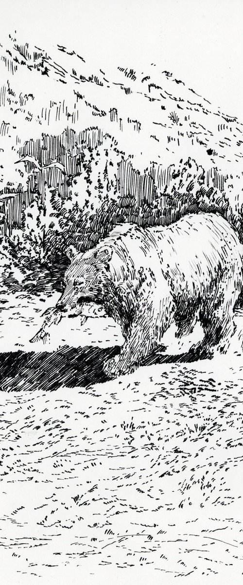A Bear Fishing by Yulia Evsyukova