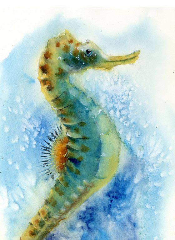 Seahorse in the water
