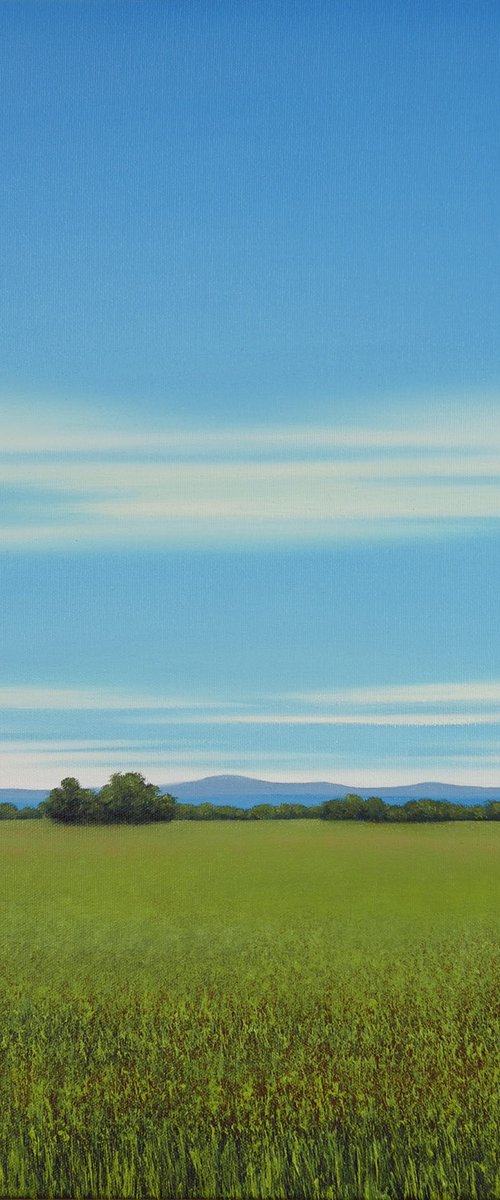 Lush Grass - Blue Sky Landscape by Suzanne Vaughan