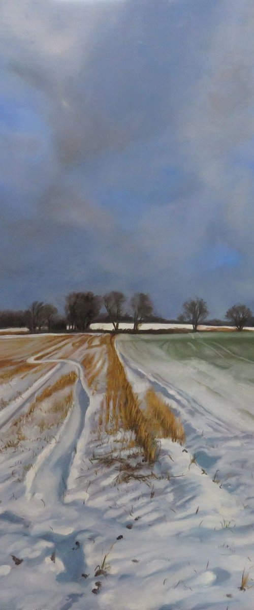 Snow Tracks by Kerry Lisa Davies
