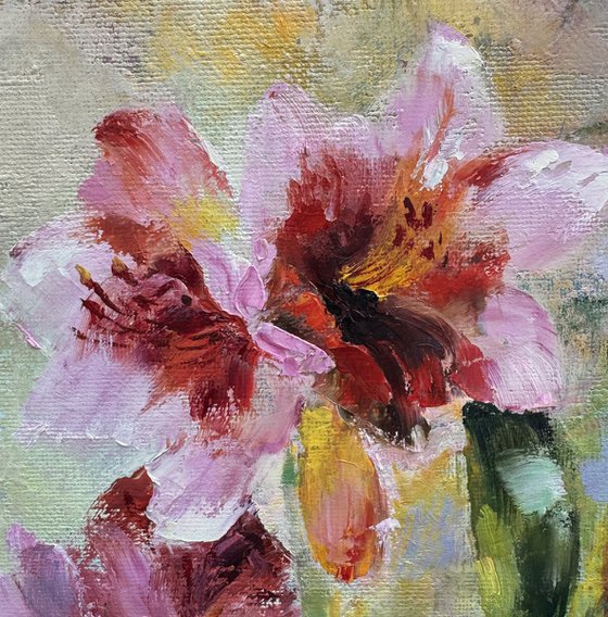 Multicolored lilies