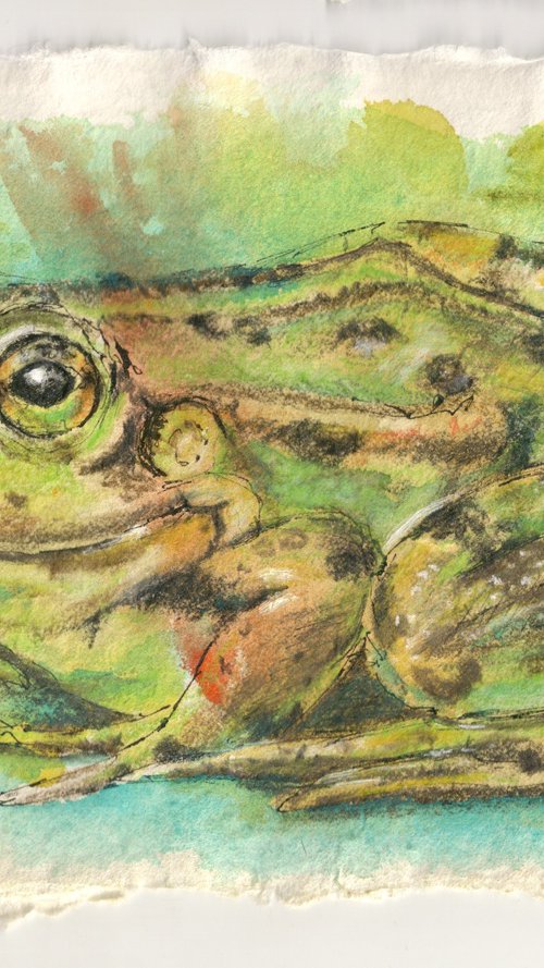 Green Frog by Ilona Borodulina