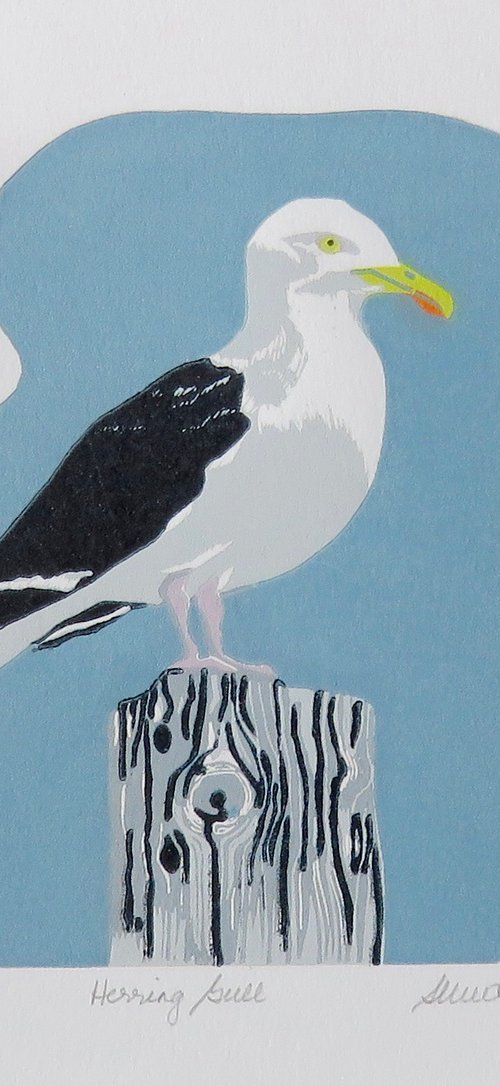Herring Gull by Susan Cartwright
