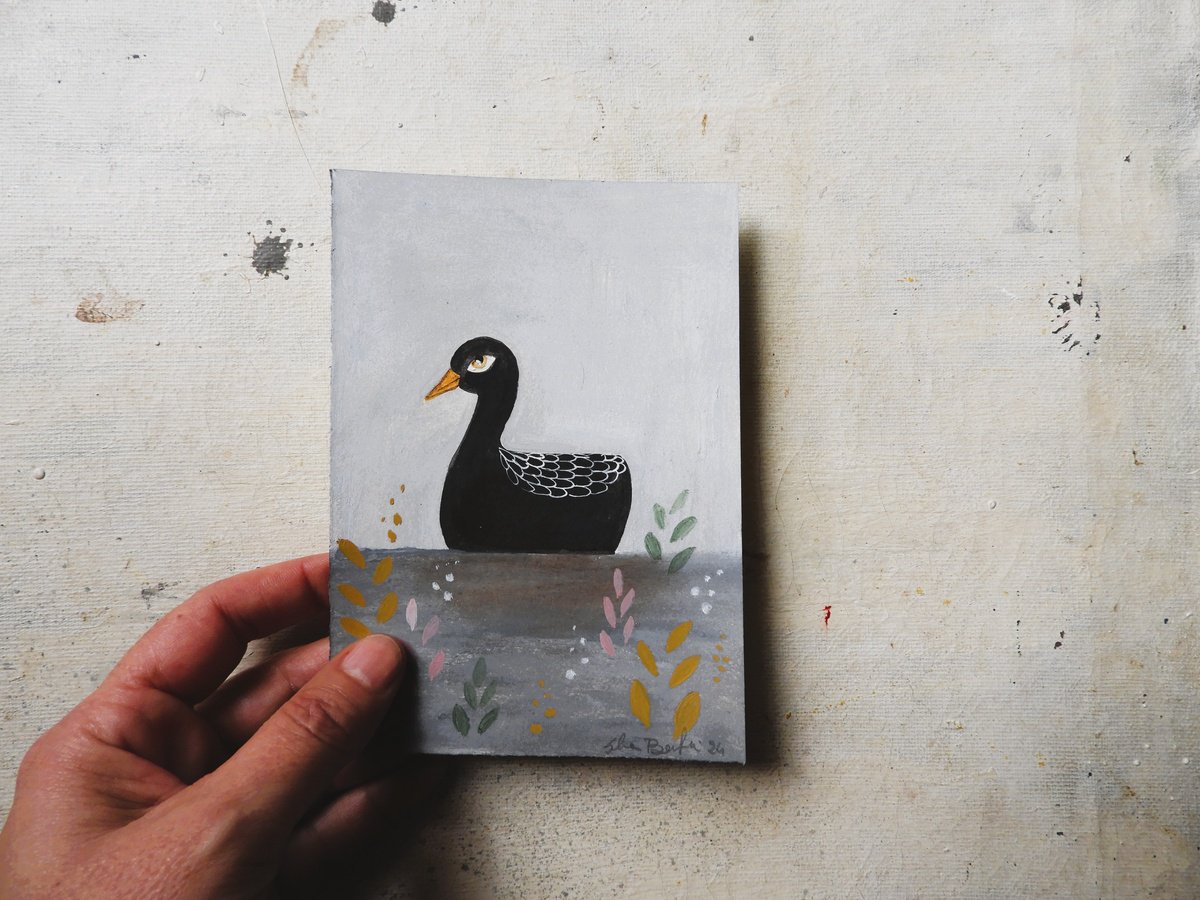 The black duck by Silvia Beneforti