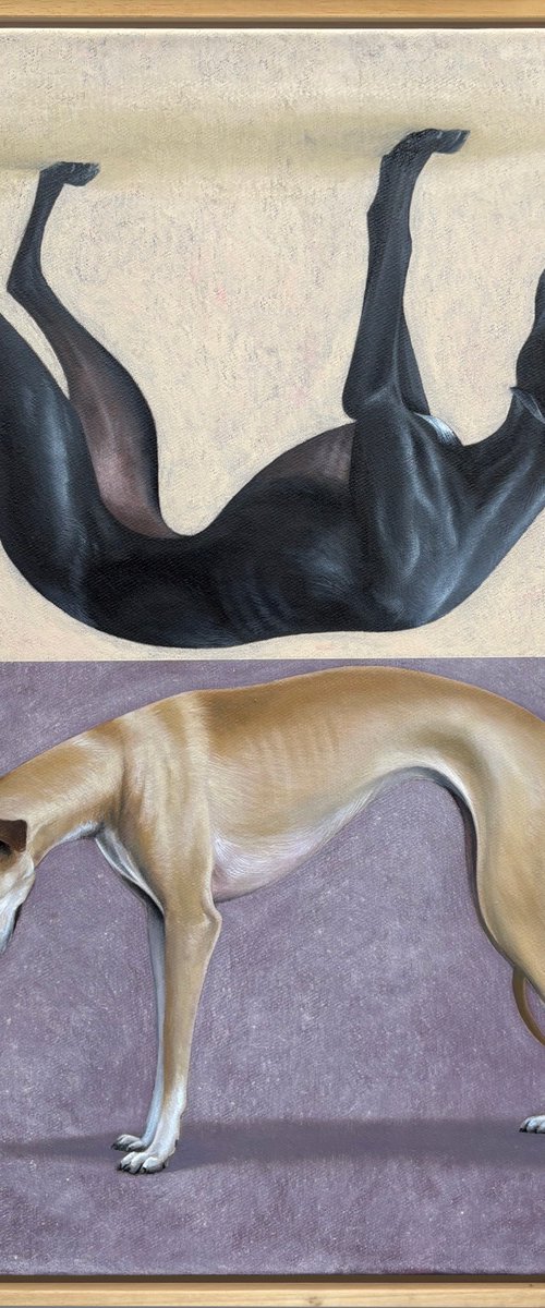 Midnight Oil by Joshua Daniels