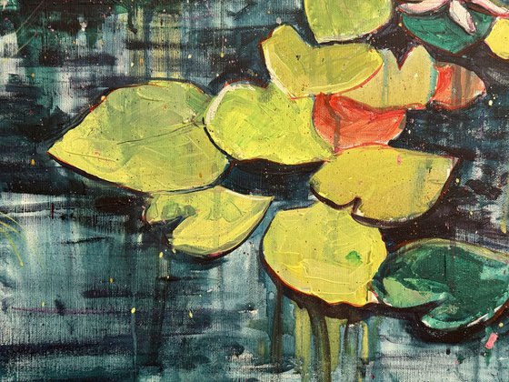 Lily Pond