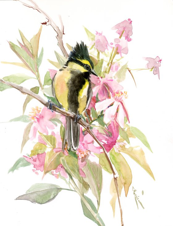 Himalayan black-lored tit, original watercolor painting, birds of Himalayas