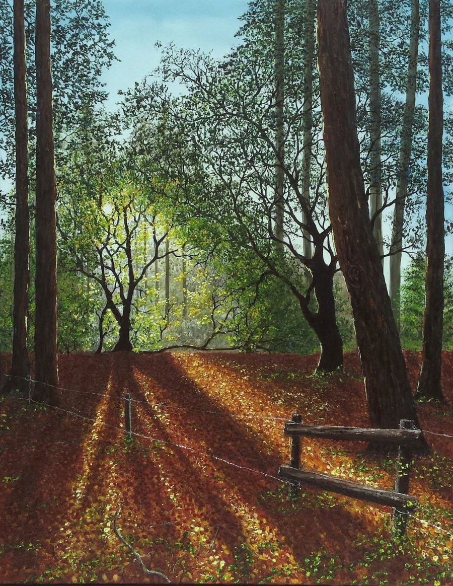 Forest Clearing Oil painting by Hazel Thomson | Artfinder