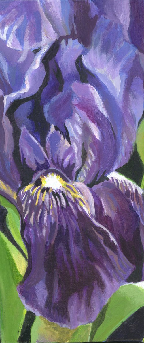 blue irises acrylic floral by Alfred  Ng