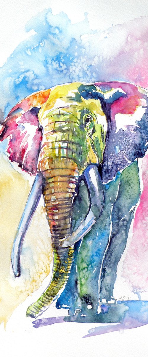 Colorful elephant III by Kovács Anna Brigitta