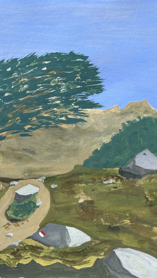 L’arbre penché - GR20 by Cadiou Frederic