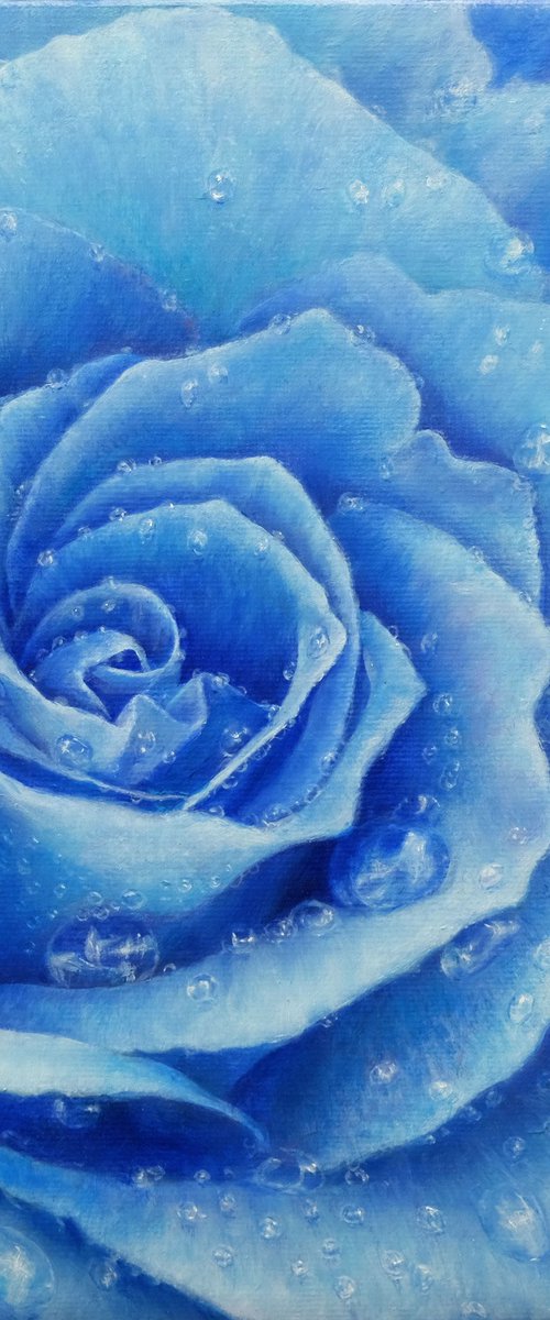 Rose. Blue Rose! by Anastasia Woron