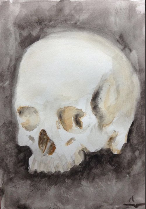 Skull Study by Dominique Dève
