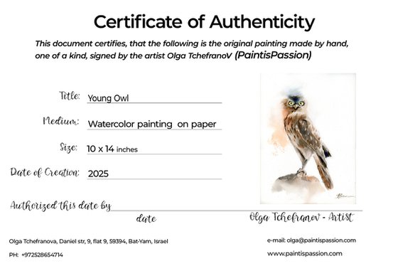 Young Owl