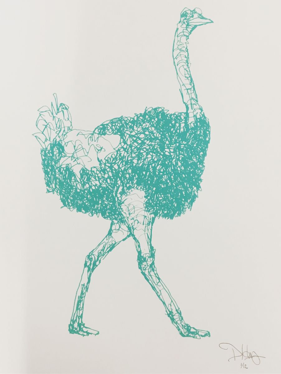 Squiggly Ostrich by David Horgan