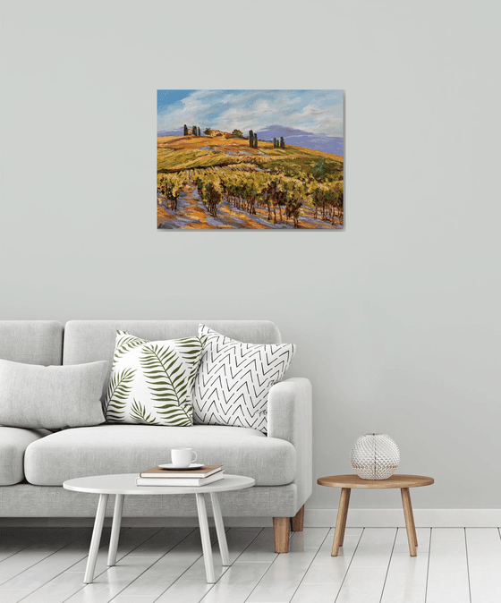 Vignes sous le soleil