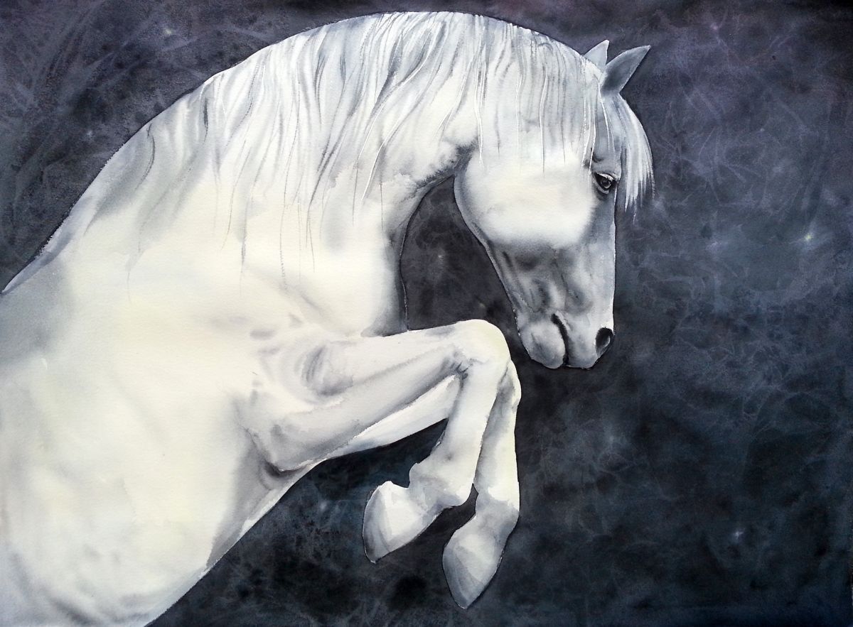 Forward Movement - White Horse by Olga Beliaeva Watercolour