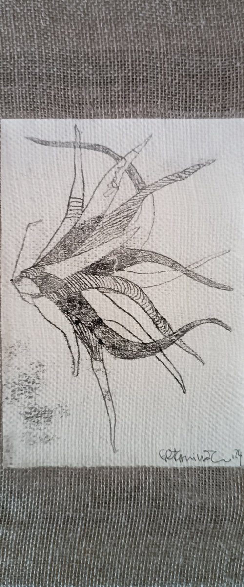 pianta aerea 3.0 by Isabellangela Germinario