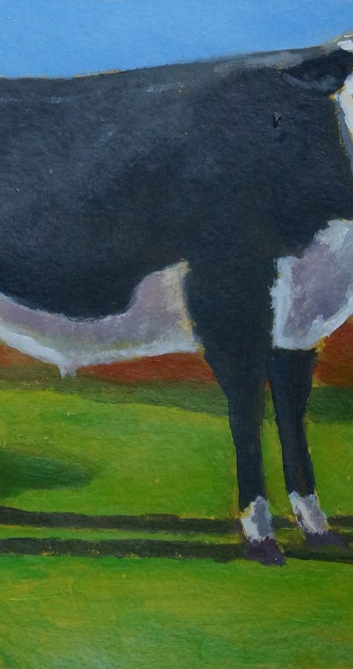 Bull, Penwith moor. by Tim Treagust