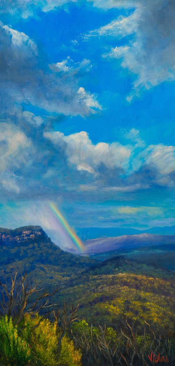 After the storm - Blue Mountains, NSW