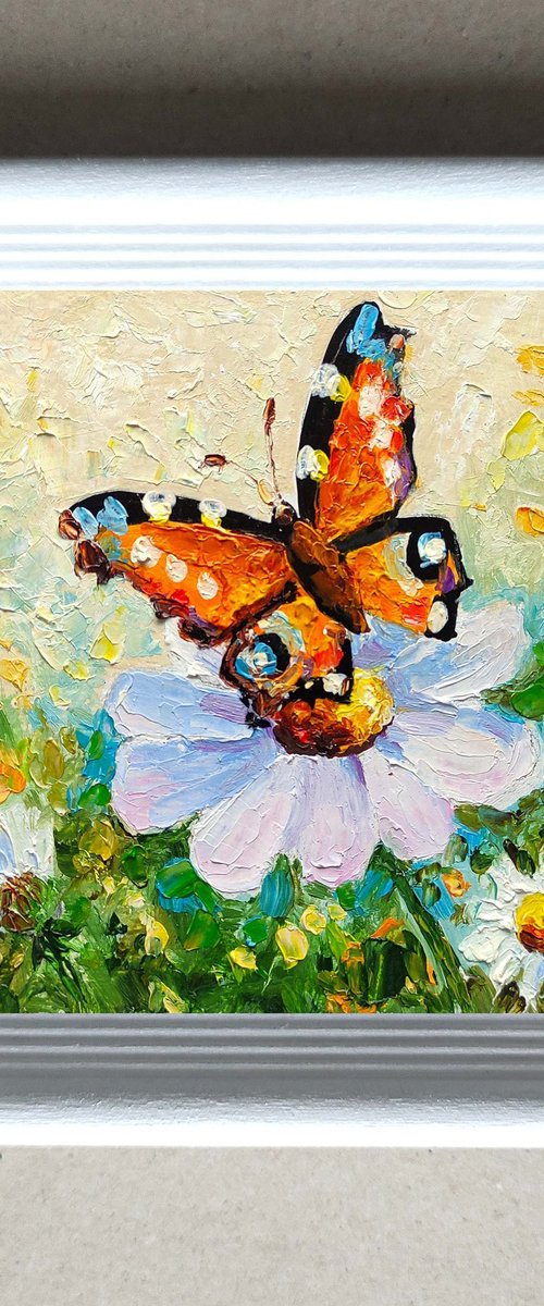 Butterfly on daisy by Yulia Berseneva