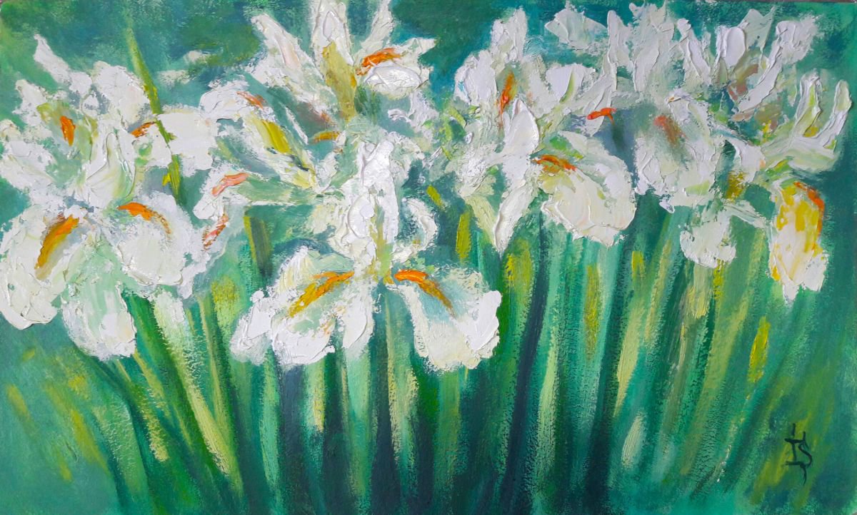 Irises from the daughter by Irina Sergeyeva