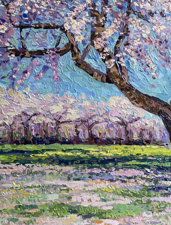 Almond Blossom Tree