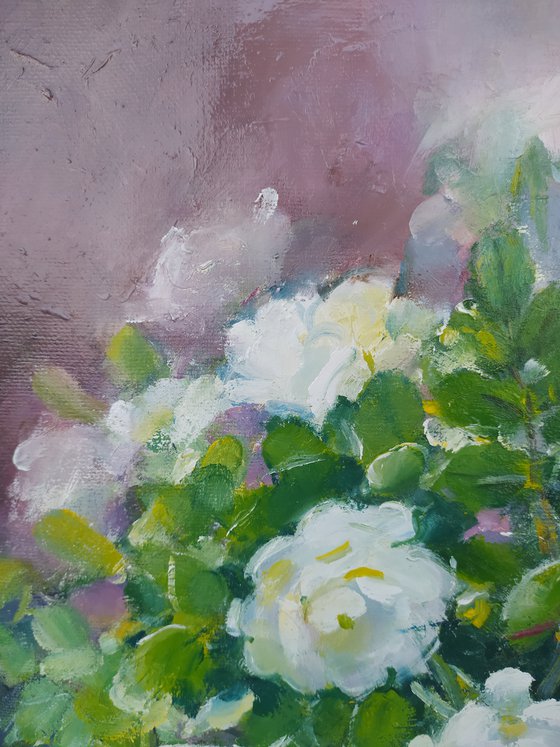 Garden roses