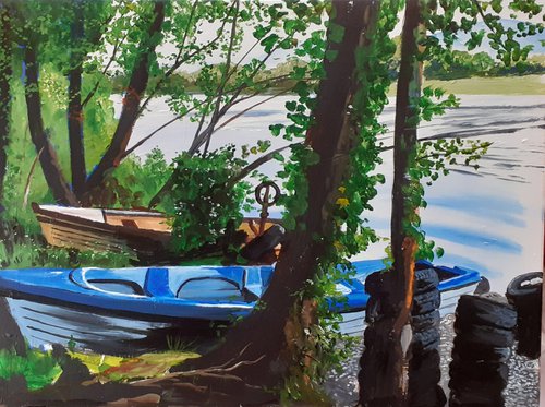 Forest Boats by Cathal Gallagher