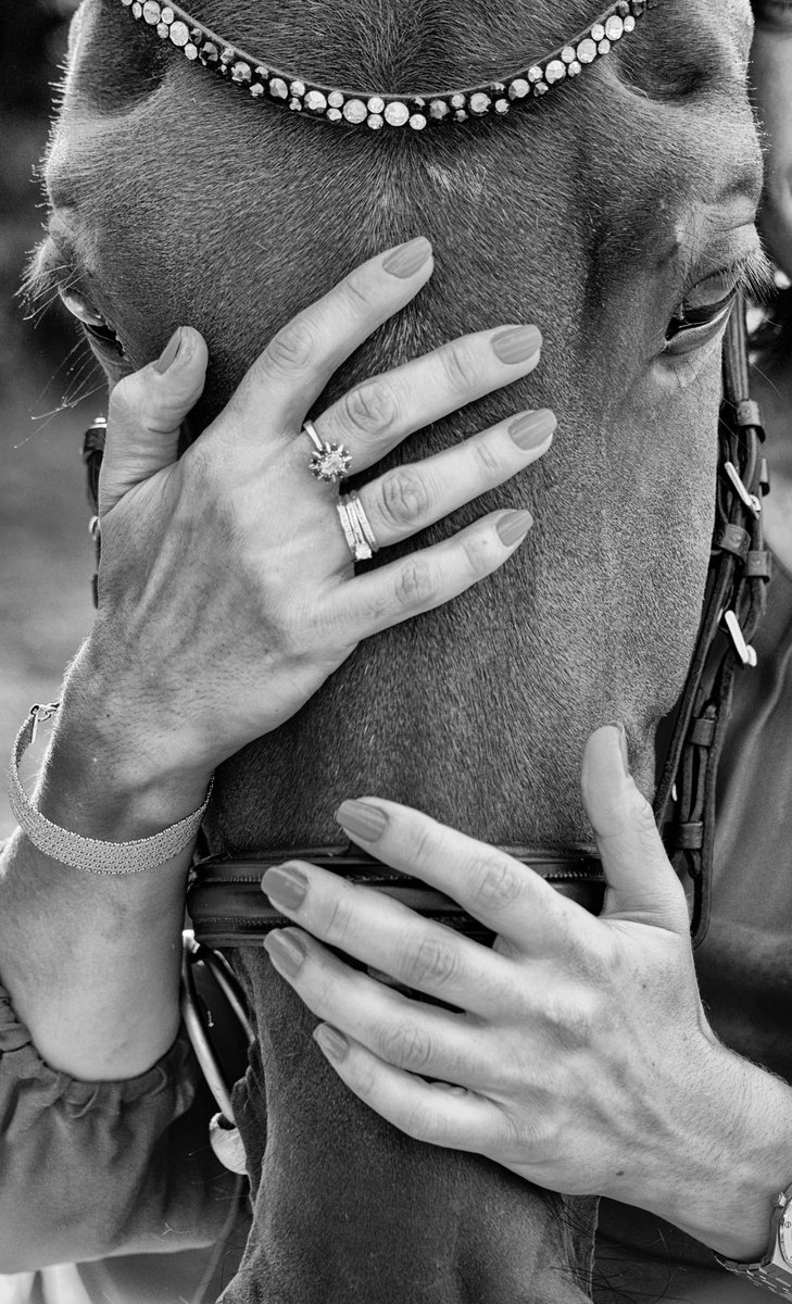 Horse & Hand by Marc Ehrenbold
