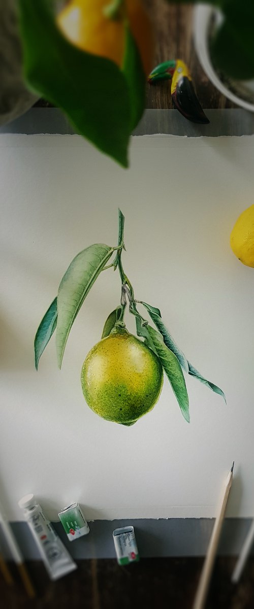 Lemon by Dovydas Bou