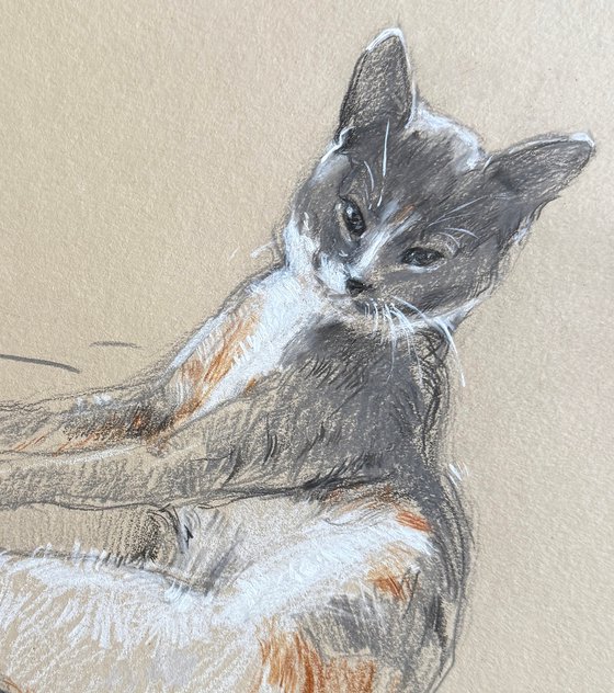 Commissions Pet Portrait — Mila
