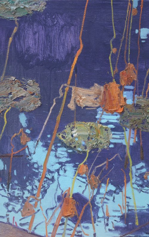 Waterlilies in pond 187 by jianzhe chon