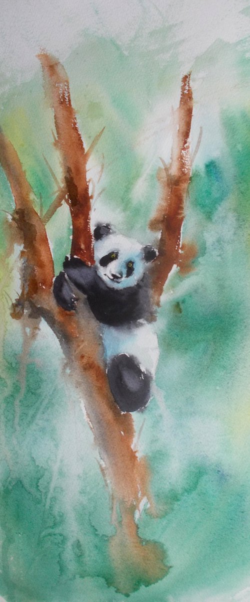 panda by Giorgio Gosti