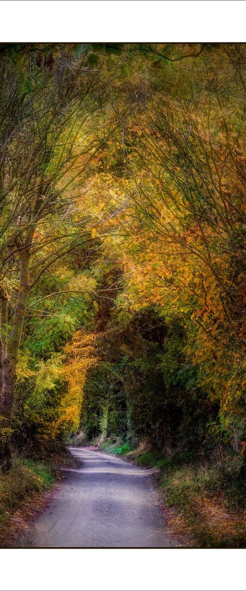 The Arch of many colours by Martin  Fry