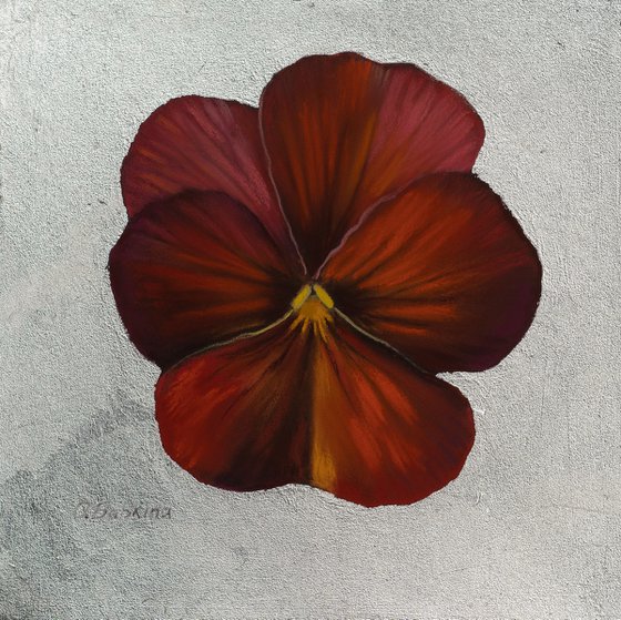 Pansy #11