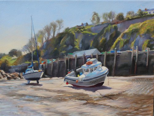 Ilfracombe at low tide by Sally Jones