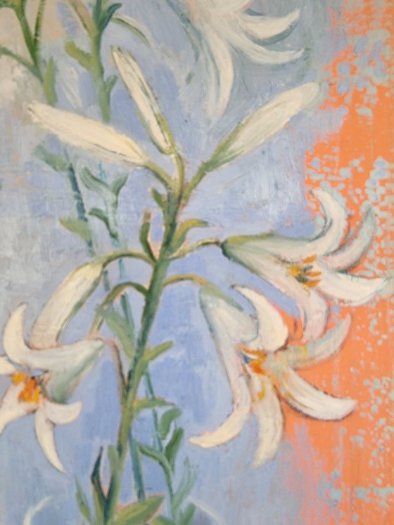 Lilies
