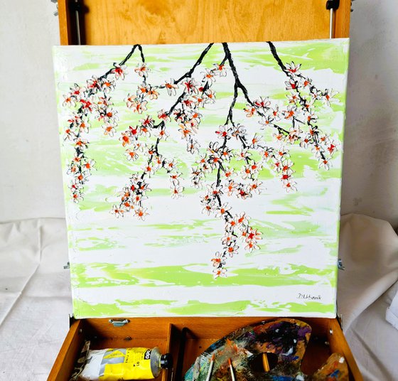 Cherries in the spring 2