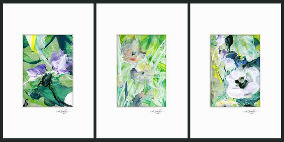 Blossoms Of Love Collection 2 - 3 Floral Paintings by Kathy Morton Stanion