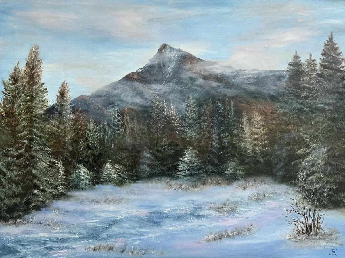 Impressionistic Landscape Oil Painting By Tanja Frost, 31 X 24", Winter Serenity, Original Artwork
