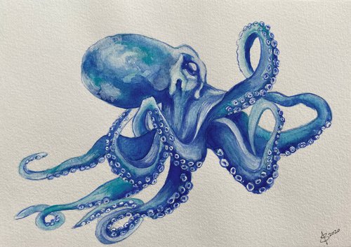 Blue Octopus by Sandy Broenimann