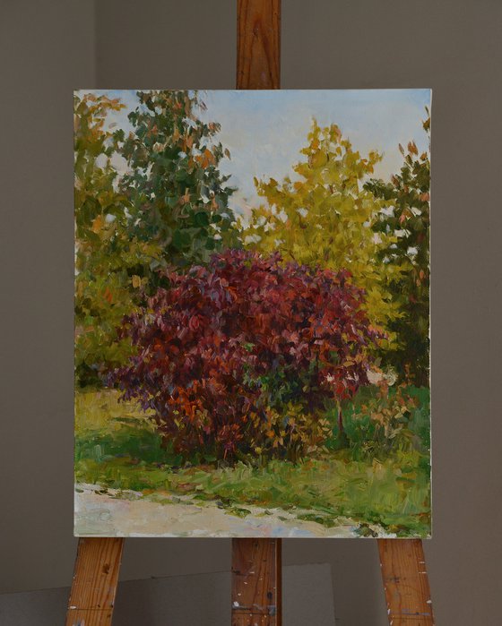 Autumn, red bush