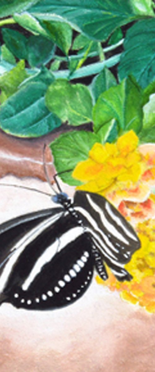 Zebra Butterfly by Carmen Badeau