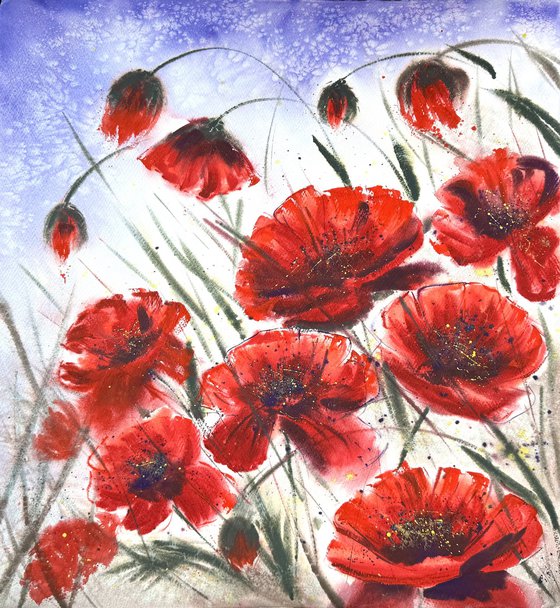 Big Size Red Wild Poppies