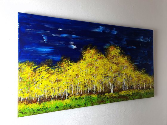 Autumn birch forest